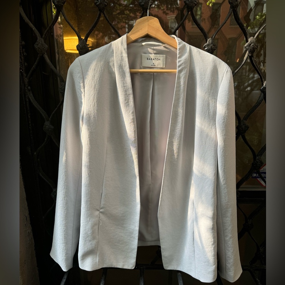Light icy blue-gray blazer - Babaton/Aritzia